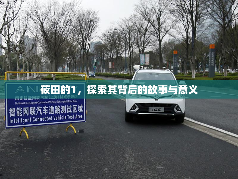 莜田的1，探索其背后的故事与意义