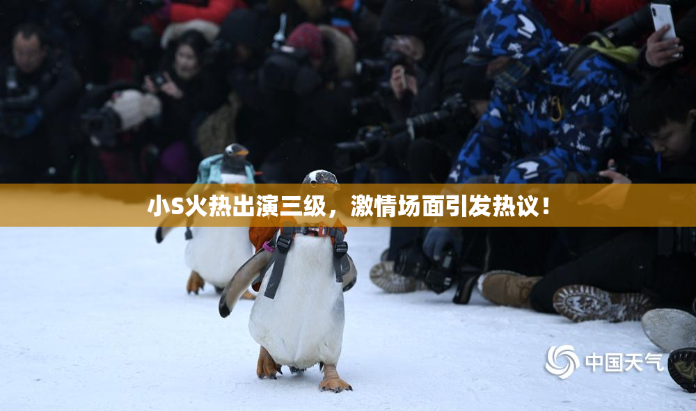 小S火热出演三级，激情场面引发热议！