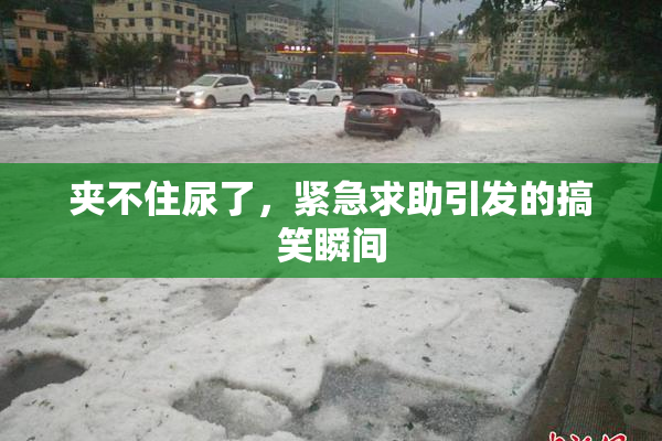 夹不住尿了，紧急求助引发的搞笑瞬间