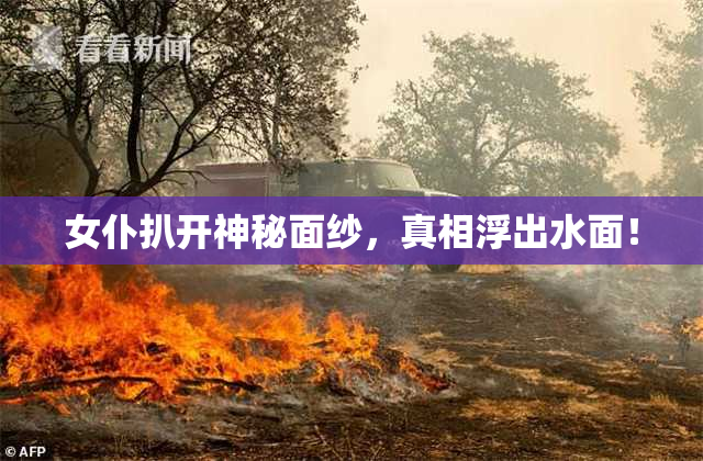 女仆扒开神秘面纱，真相浮出水面！