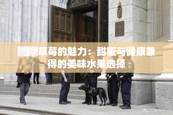 ▓▓草莓的魅力：甜蜜与健康兼得的美味水果选择
