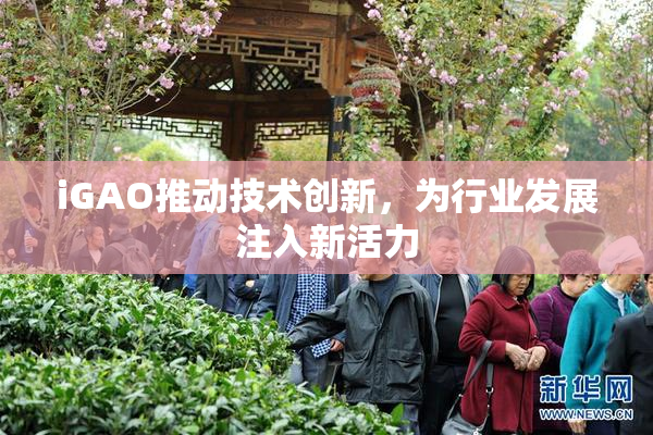 iGAO推动技术创新，为行业发展注入新活力