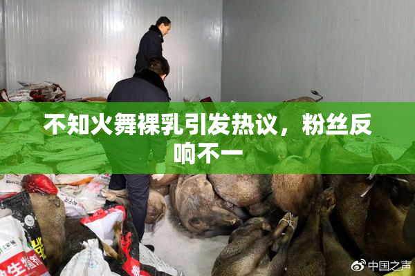 不知火舞裸乳引发热议，粉丝反响不一