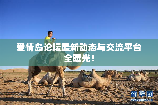爱情岛论坛最新动态与交流平台全曝光！