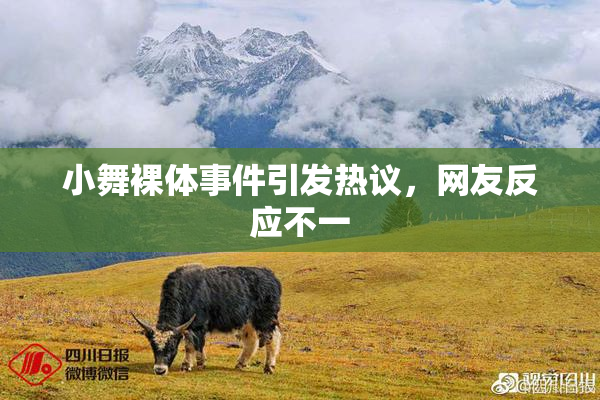 小舞裸体事件引发热议，网友反应不一