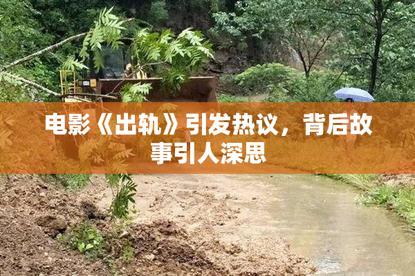 电影《出轨》引发热议，背后故事引人深思
