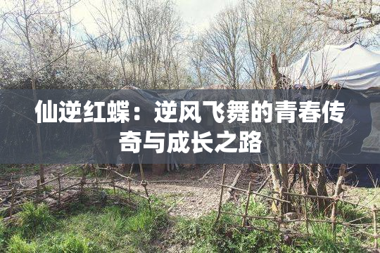仙逆红蝶：逆风飞舞的青春传奇与成长之路