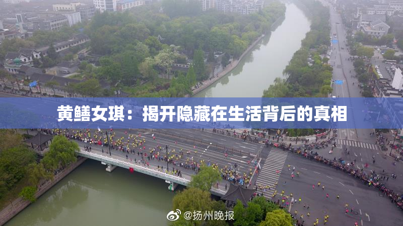 黄鳝女琪：揭开隐藏在生活背后的真相