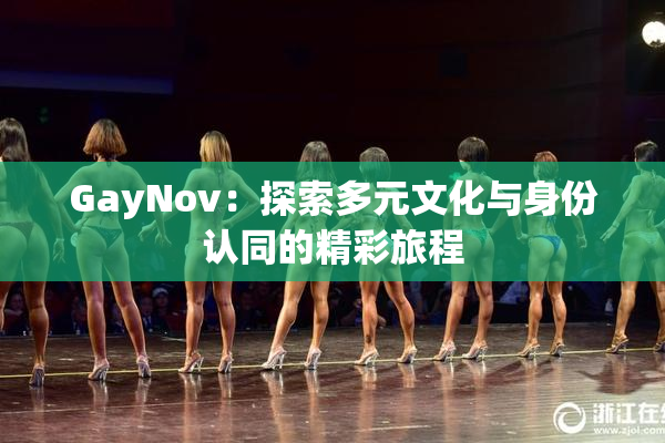 GayNov：探索多元文化与身份认同的精彩旅程