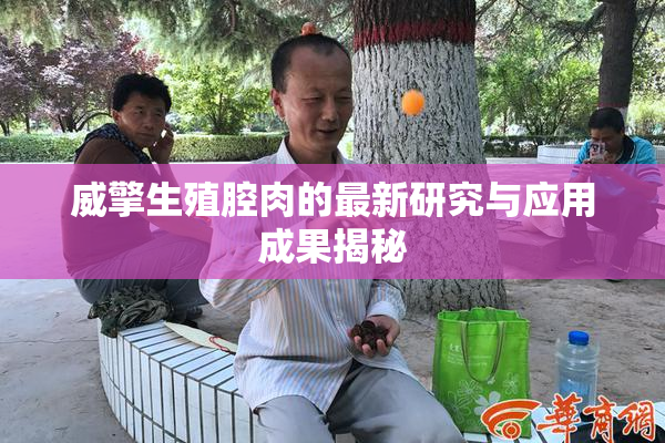 威擎生殖腔肉的最新研究与应用成果揭秘