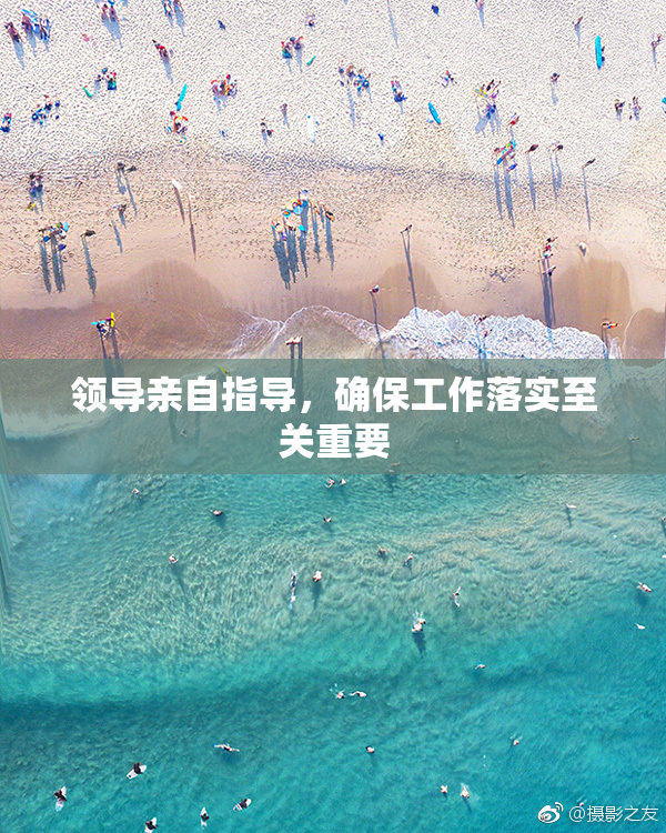 领导亲自指导，确保工作落实至关重要