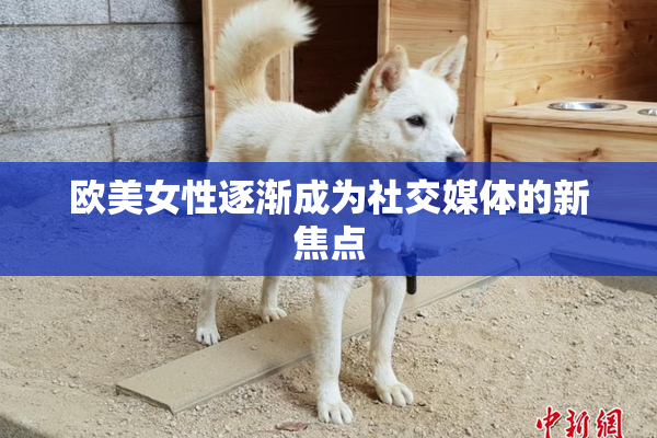 欧美女性逐渐成为社交媒体的新焦点