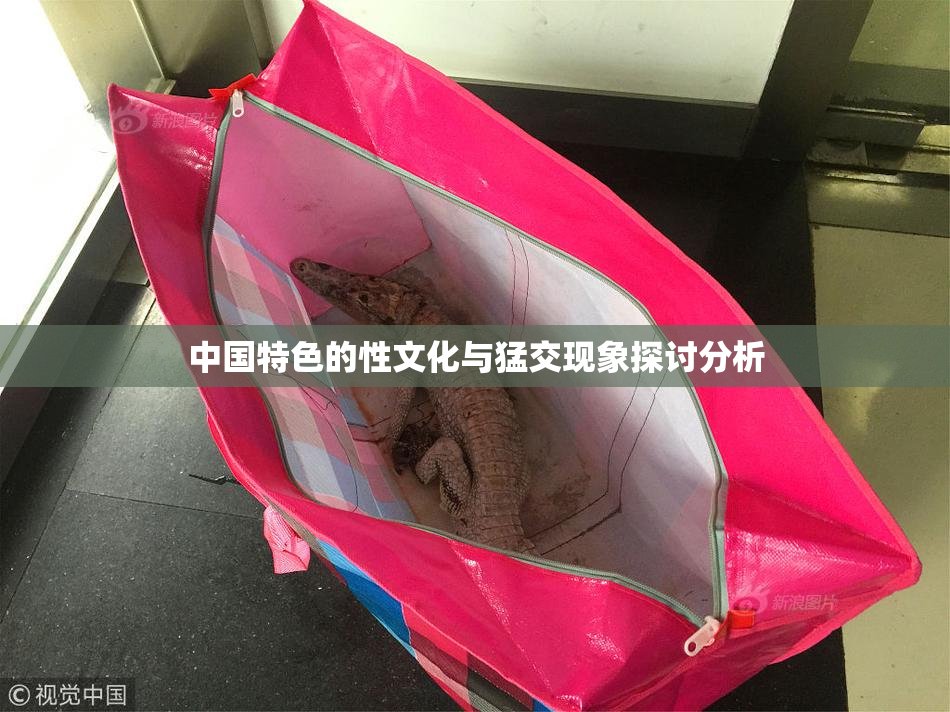 中国特色的性文化与猛交现象探讨分析