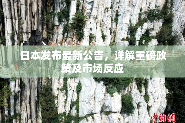 日本发布最新公告，详解重磅政策及市场反应