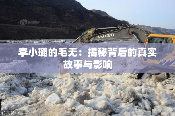 李小璐的毛无：揭秘背后的真实故事与影响