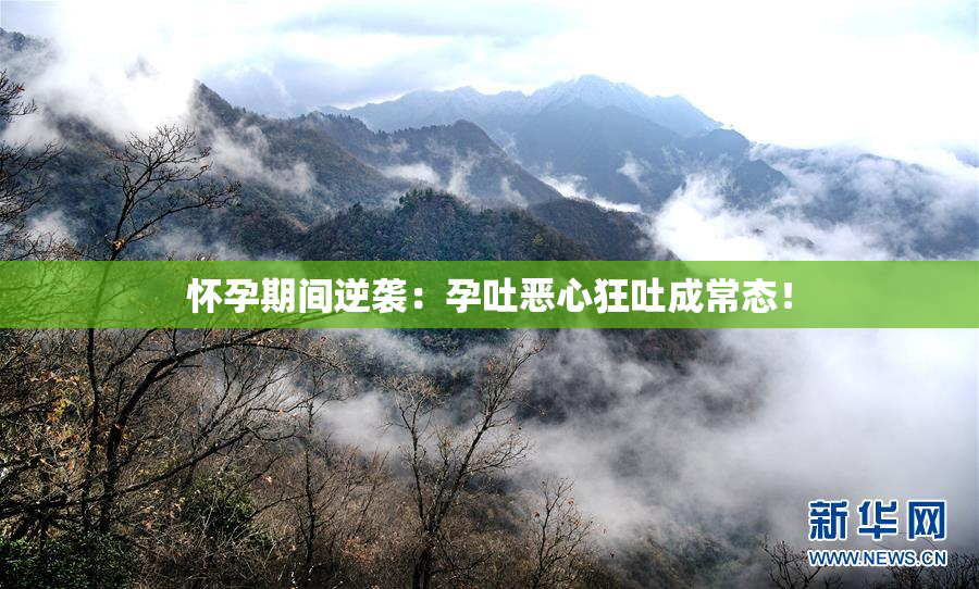 怀孕期间逆袭：孕吐恶心狂吐成常态！