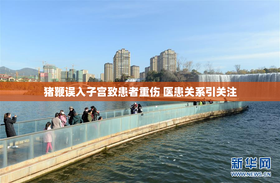 猪鞭误入子宫致患者重伤 医患关系引关注