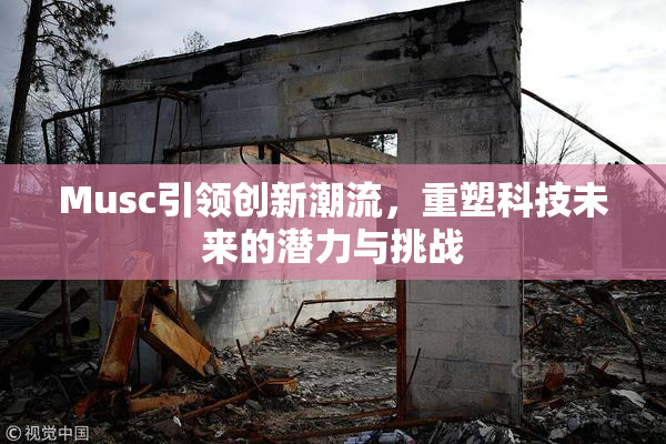 Musc引领创新潮流，重塑科技未来的潜力与挑战