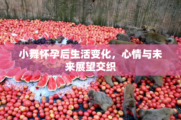 小舞怀孕后生活变化，心情与未来展望交织