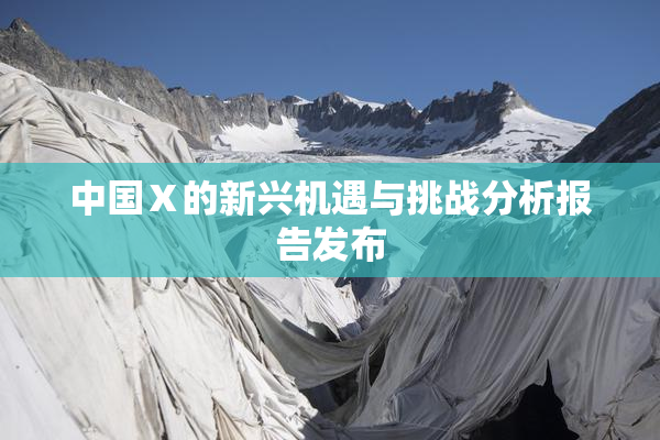 中国Ⅹ的新兴机遇与挑战分析报告发布