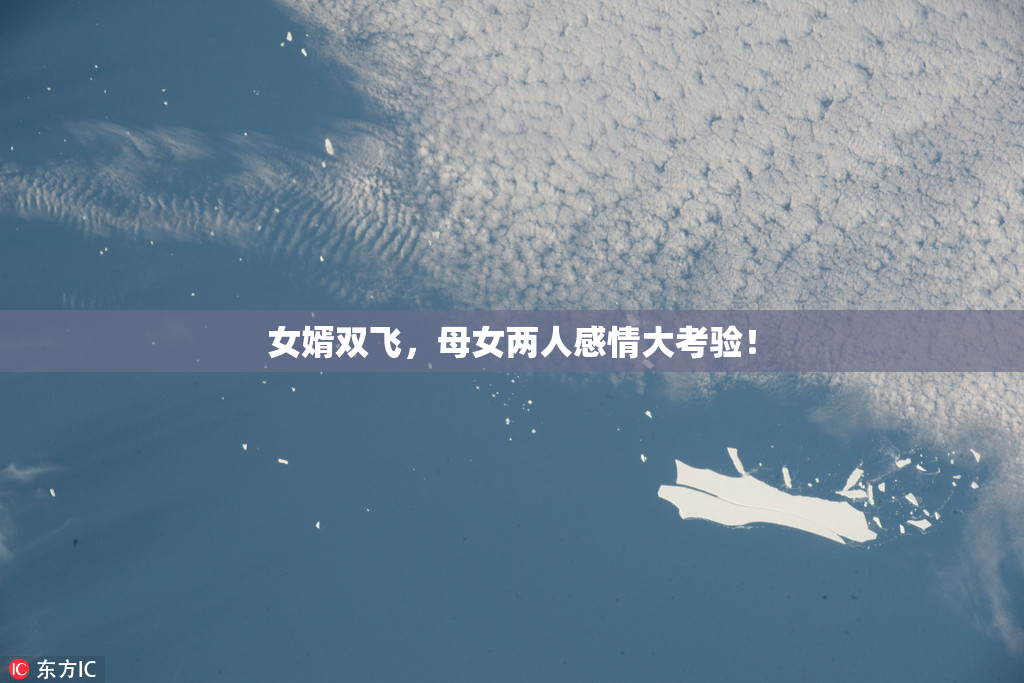 女婿双飞，母女两人感情大考验！