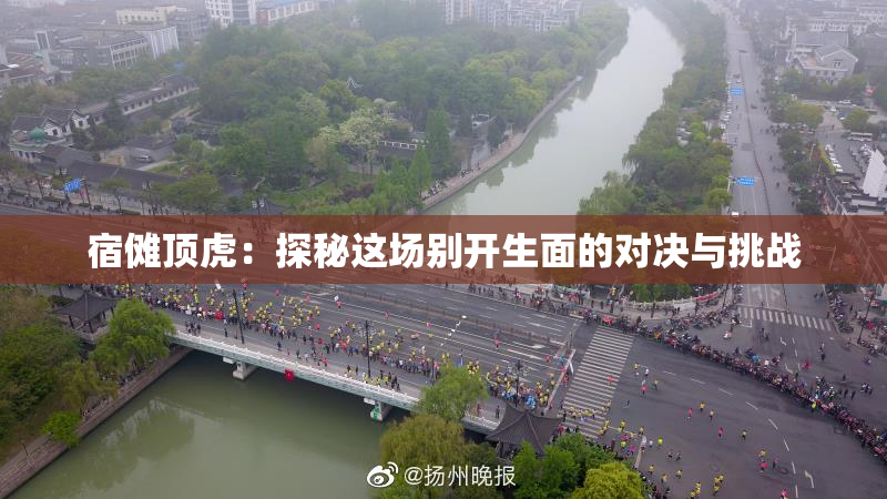 宿傩顶虎：探秘这场别开生面的对决与挑战