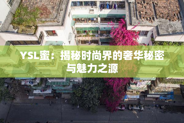 YSL蜜：揭秘时尚界的奢华秘密与魅力之源