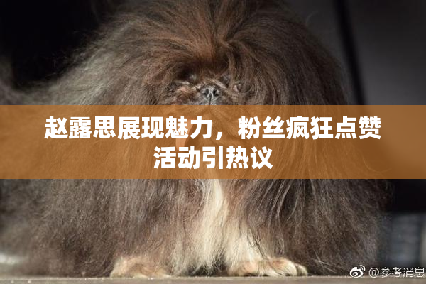 赵露思展现魅力，粉丝疯狂点赞活动引热议