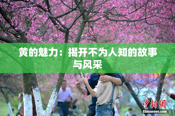 黄的魅力：揭开不为人知的故事与风采