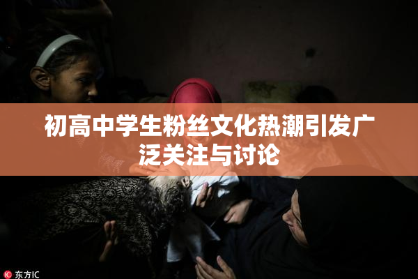 初高中学生粉丝文化热潮引发广泛关注与讨论