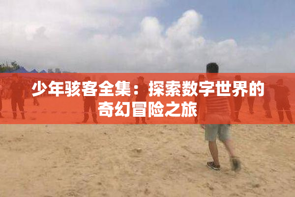 少年骇客全集：探索数字世界的奇幻冒险之旅
