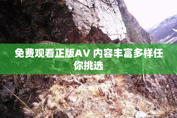 免费观看正版AV 内容丰富多样任你挑选