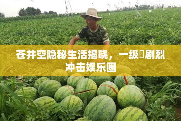 苍井空隐秘生活揭晓，一级婬剧烈冲击娱乐圈