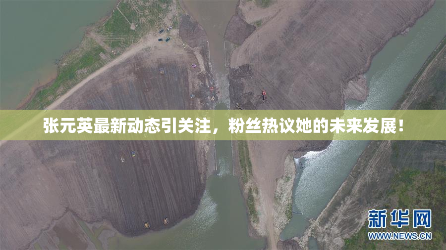 张元英最新动态引关注，粉丝热议她的未来发展！