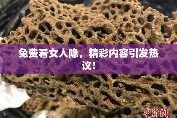 免费看女人隐，精彩内容引发热议！
