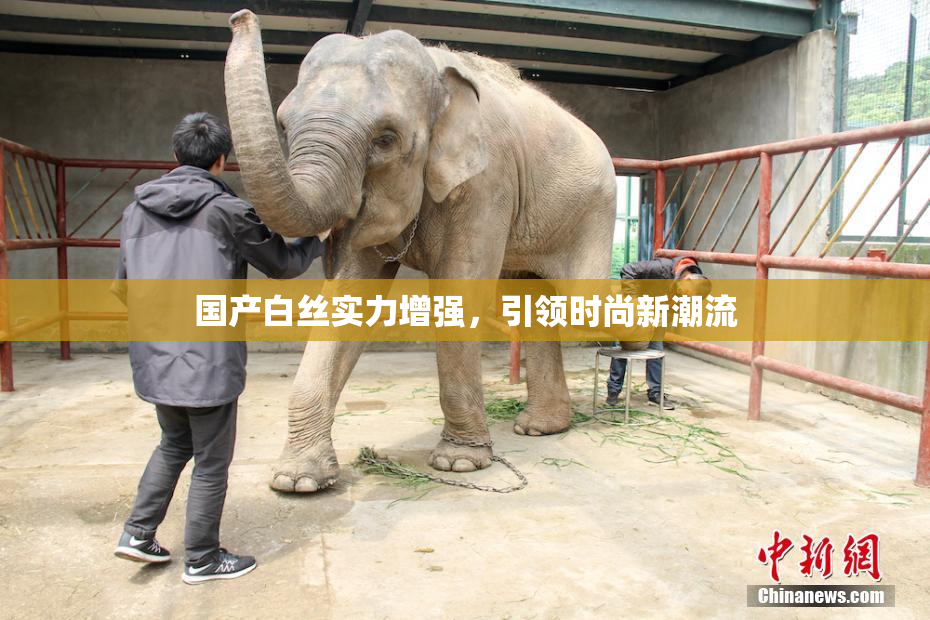 国产白丝实力增强，引领时尚新潮流