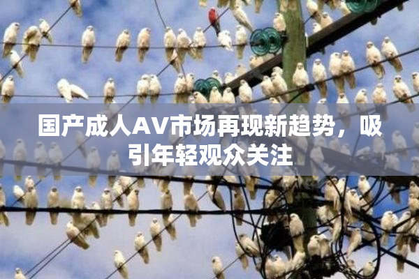 国产成人AV市场再现新趋势，吸引年轻观众关注