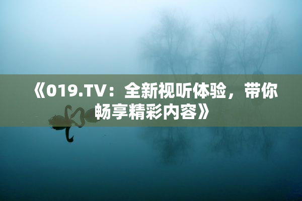 《019.TV：全新视听体验，带你畅享精彩内容》