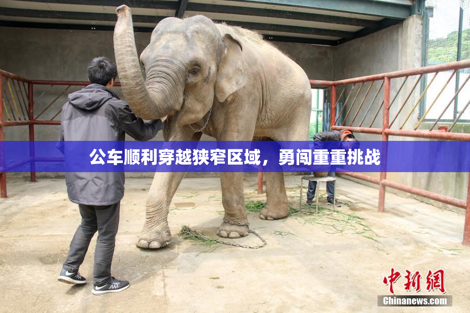 公车顺利穿越狭窄区域，勇闯重重挑战