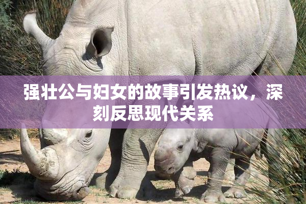 强壮公与妇女的故事引发热议，深刻反思现代关系