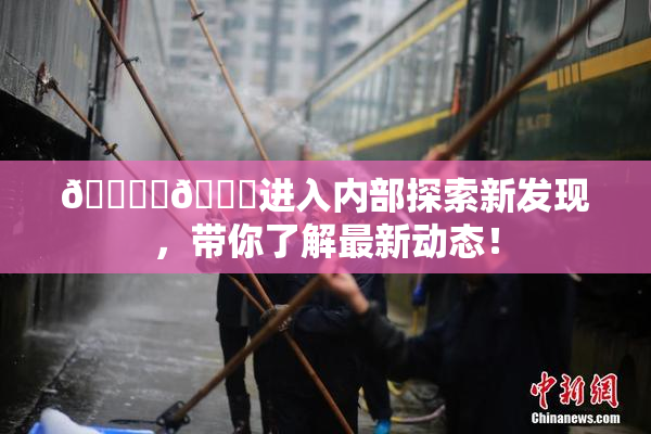 🔞‌🍌进入内部探索新发现，带你了解最新动态！