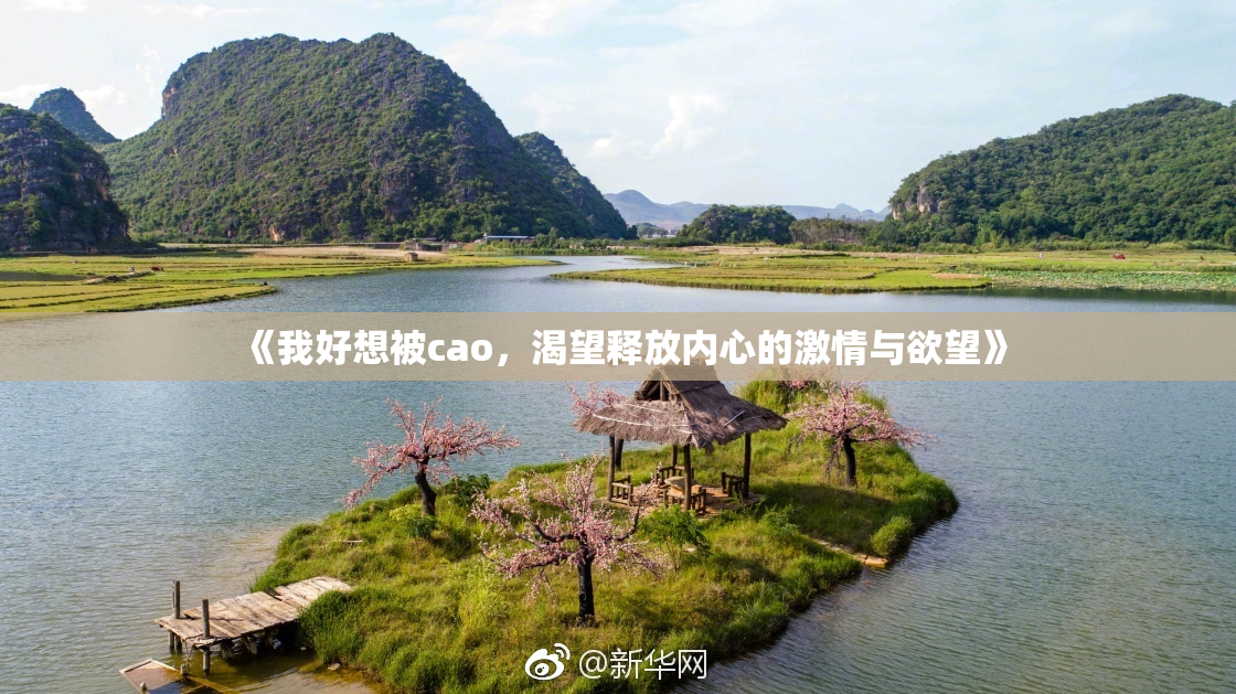 《我好想被cao，渴望释放内心的激情与欲望》