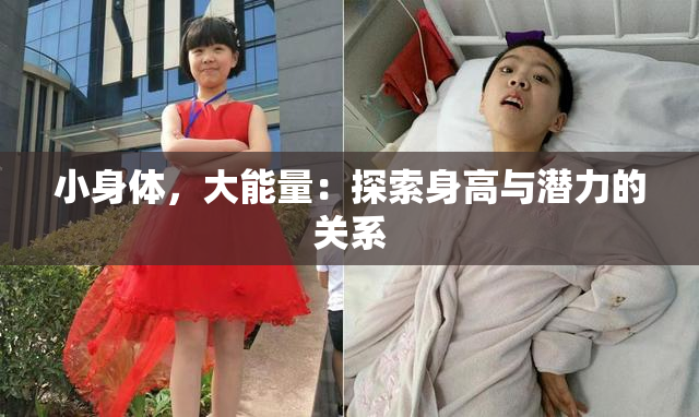 小身体，大能量：探索身高与潜力的关系