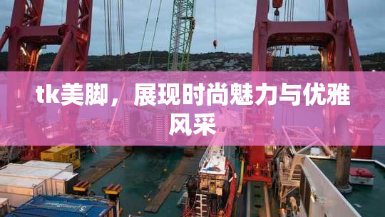 tk美脚，展现时尚魅力与优雅风采