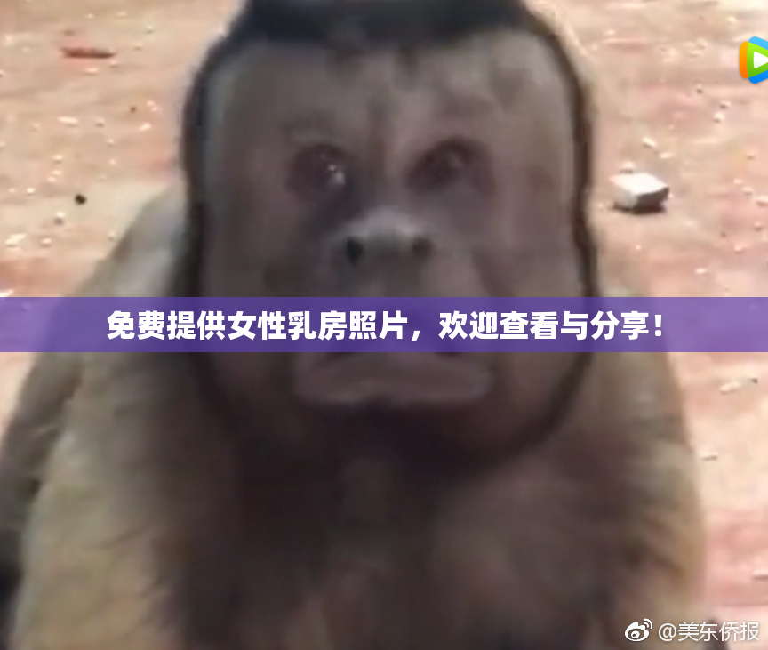 免费提供女性乳房照片，欢迎查看与分享！