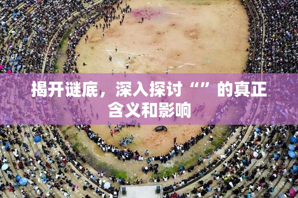 揭开谜底，深入探讨“”的真正含义和影响