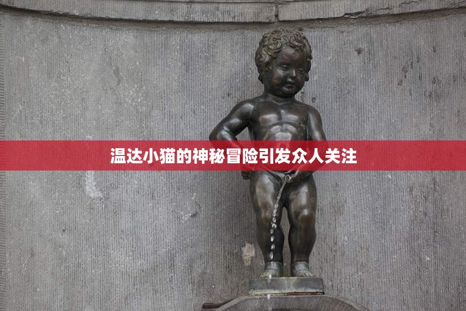温达小猫的神秘冒险引发众人关注