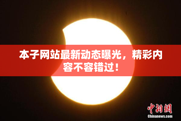 本子网站最新动态曝光，精彩内容不容错过！