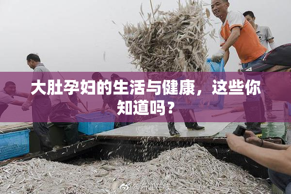 大肚孕妇的生活与健康，这些你知道吗？
