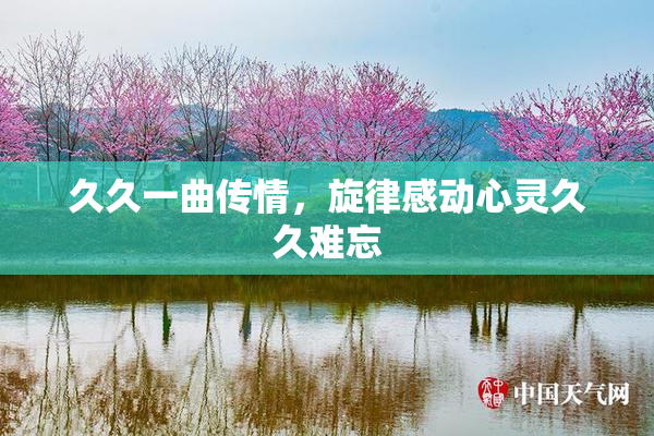 久久一曲传情，旋律感动心灵久久难忘